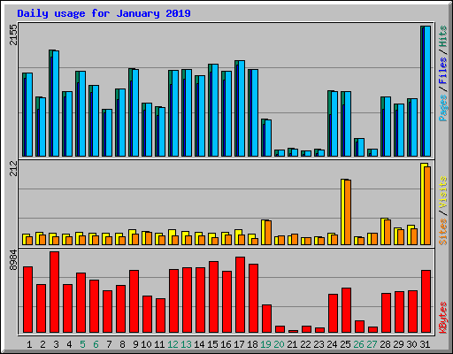 Daily usage for January 2019