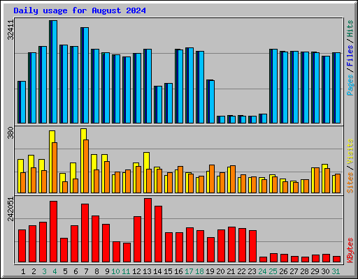 Daily usage for August 2024