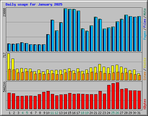 Daily usage for January 2025