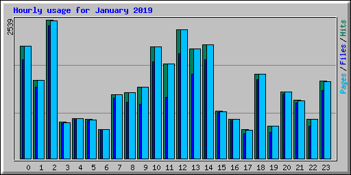 Hourly usage for January 2019