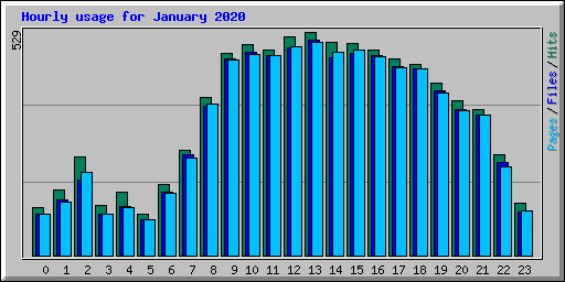 Hourly usage for January 2020