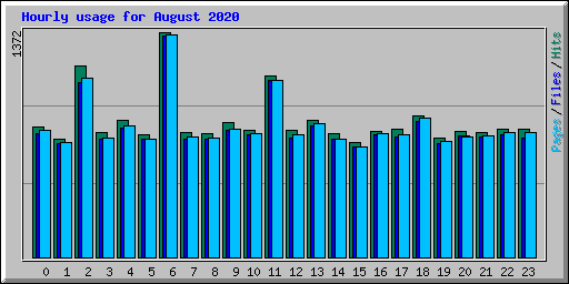 Hourly usage for August 2020