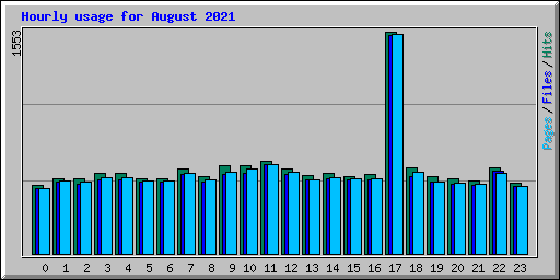 Hourly usage for August 2021