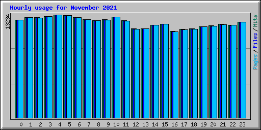 Hourly usage for November 2021