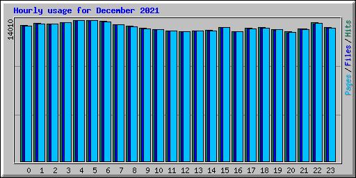 Hourly usage for December 2021