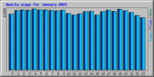 Hourly usage for January 2022