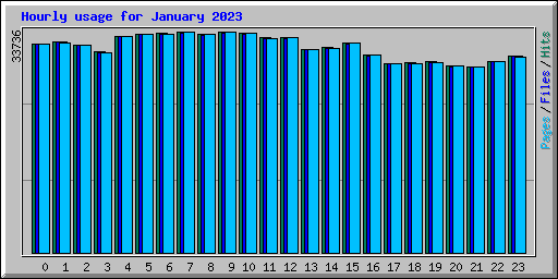 Hourly usage for January 2023