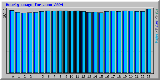 Hourly usage for June 2024