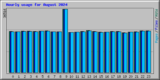 Hourly usage for August 2024