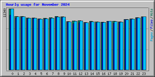 Hourly usage for November 2024