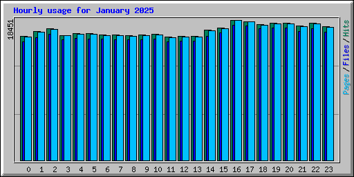 Hourly usage for January 2025