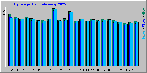 Hourly usage for February 2025