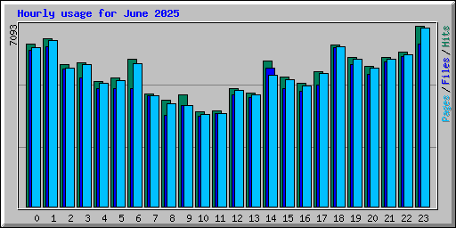 Hourly usage for June 2025